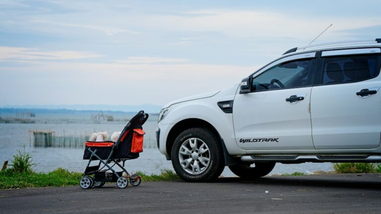 Affordable Car Accessories That Make Life Easier for Moms