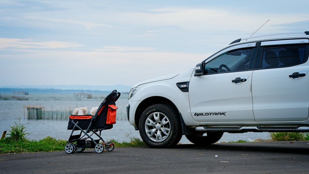 Affordable Car Accessories That Make Life Easier for Moms
