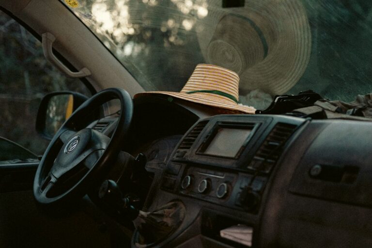 Best Car Accessories for Road Trips with Kids and Pets