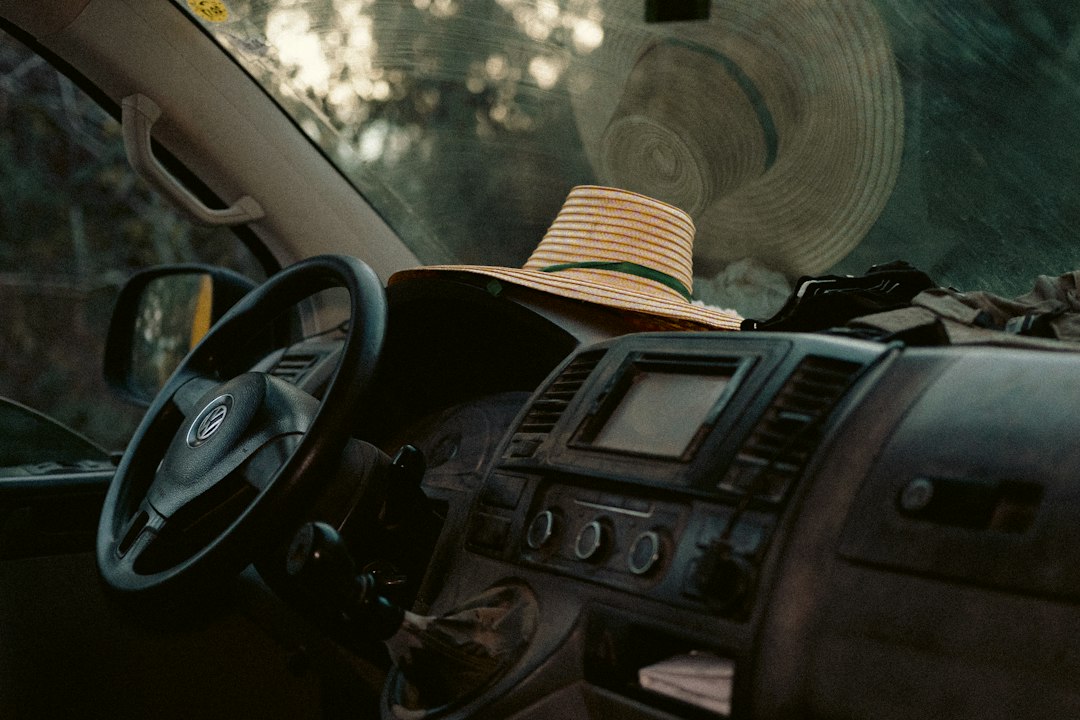 Best Car Accessories for Road Trips with Kids and Pets
